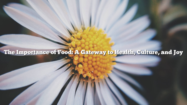 The Importance of Food: A Gateway to Health, Culture, and Joy