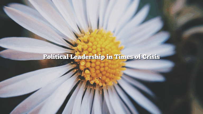Political Leadership in Times of Crisis